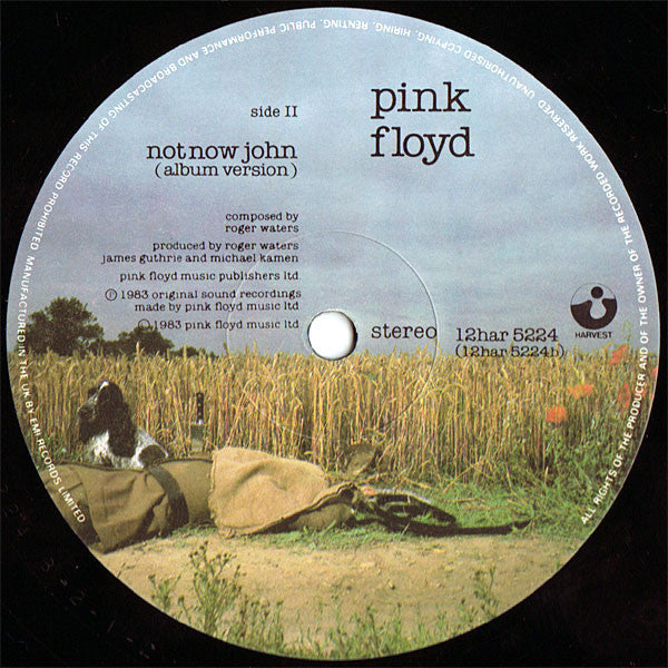 Pink Floyd : Not Now John (12", Single)