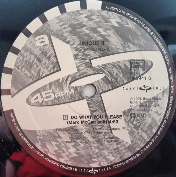 Unique II : Do What You Please (12", Maxi)