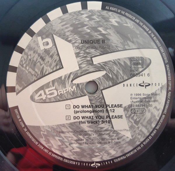 Unique II : Do What You Please (12", Maxi)
