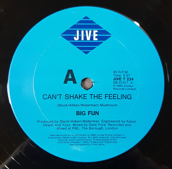 Big Fun : Can't Shake The Feeling (12", Maxi)