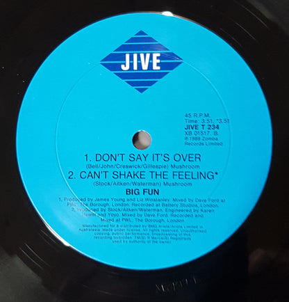 Big Fun : Can't Shake The Feeling (12", Maxi)