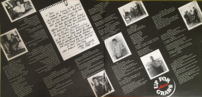 The Radiators (2) : Up For Grabs (LP, Album, Gat)