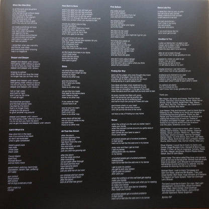 Ben Harper & The Innocent Criminals : Call It What It Is (LP, Album, RP)