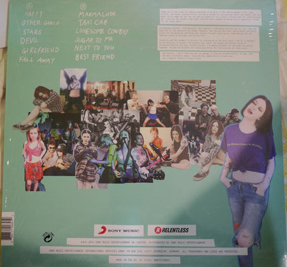 Misty Miller : The Whole Family Is Worried (LP, Album)