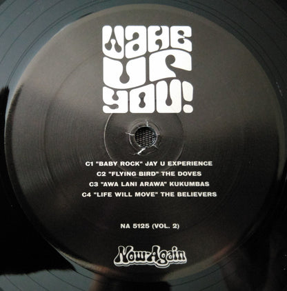Various : Wake Up You! The Rise And Fall of Nigerian Rock 1972-1977 Vol. 2 (2xLP, Comp, Ltd, Boo)