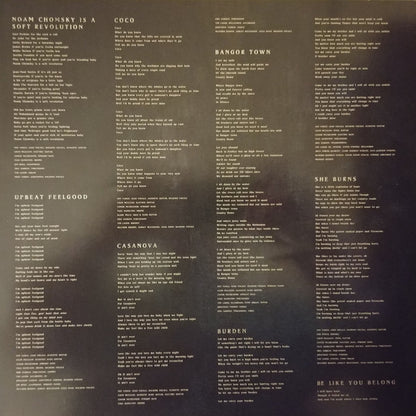 Foy Vance : The Wild Swan (LP, Album, Gat)
