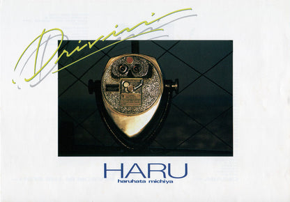 Haruhata Michiya* : Drivin' (LP, Album)