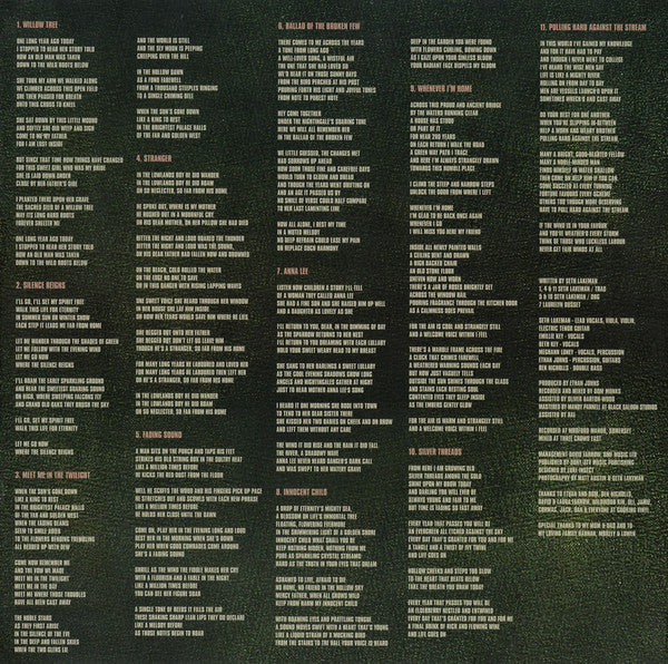 Seth Lakeman Featuring Wildwood Kin : Ballads Of The Broken Few (LP, Album)