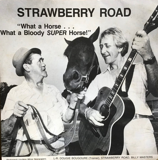 Billy Masters (3) : Strawberry Road (7", Single)